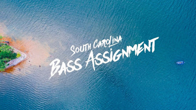 #OutHere: Bass Assignment